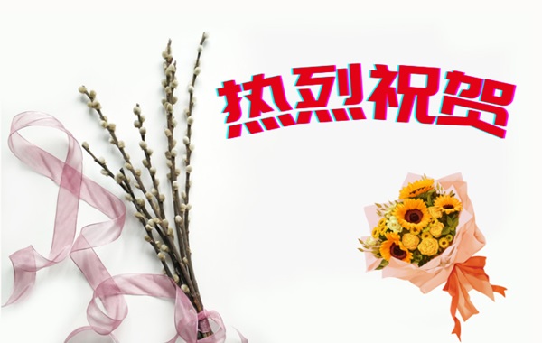 熱烈祝賀我國首次提出的工業(yè)窺鏡視覺(jué)檢測系列國際標準成功立項