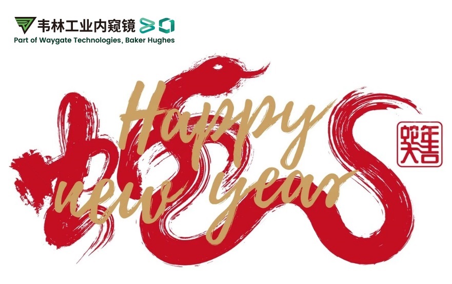 韋林公司祝您：蛇年大吉,福滿(mǎn)乾坤！